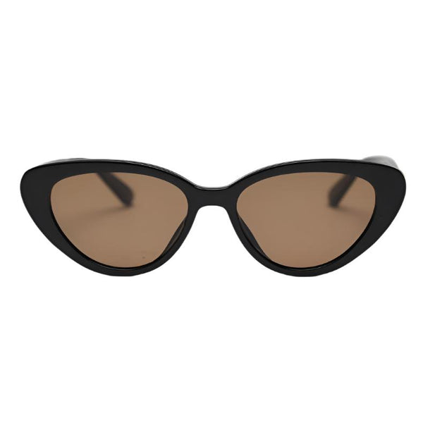 TR804 Sansha Sunglasses Wholesale for Men & Women